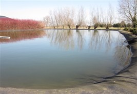 Laat je gratis begeleiden in duurzaam watergebruik