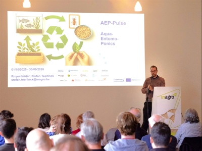 Kick-off van project AEP-Pulse: circulaire voedselproductie met aquacultuur, insectenkweek en plantenteelt