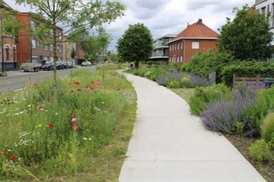 Tuinstraten brengen het landschap tot in de dorpskern