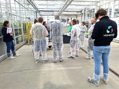 Terugblik op Proefveldbezoek bio groenten onder bescherming